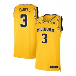 Men Elliot Cadeau Maize University of Michigan #3 2025-26 Jerseys