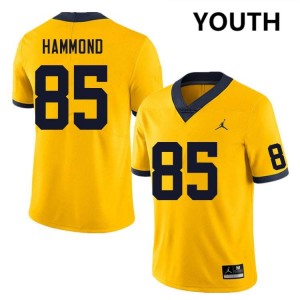 Youth Ted Hammond Yellow Michigan Wolverines #85 College Football Embroidery Jerseys
